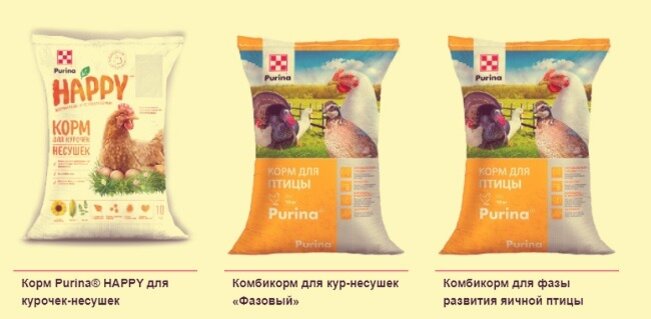 Состав комбикорма для кур несушек, по госту, своими руками