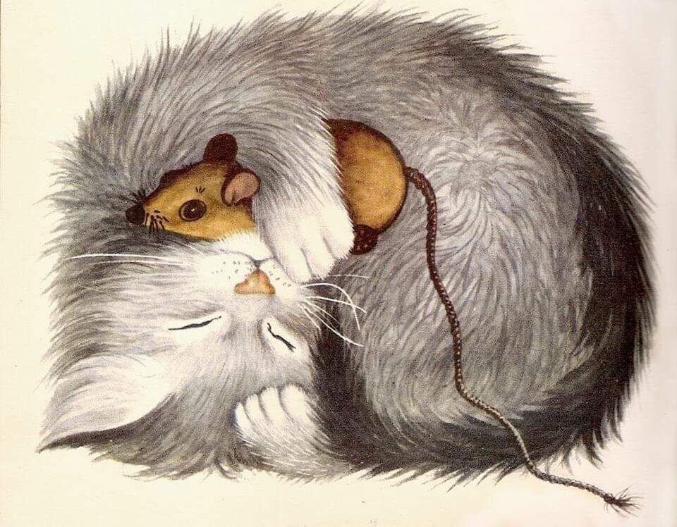 Рисунок из открытых источников