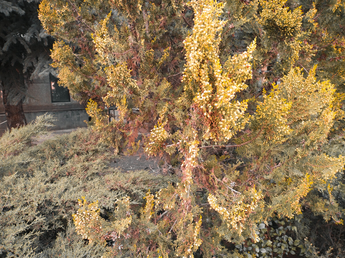 Фото автора канала