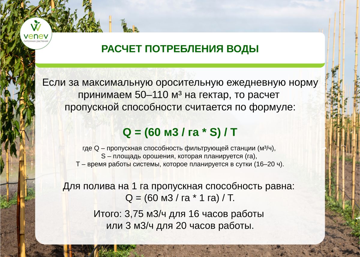 Как рассчитать систему капельного полива в питомнике растений | Венев  Питомник растений | Дзен