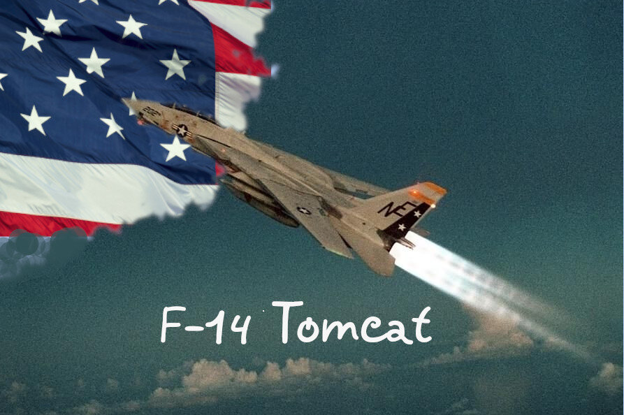 Что сами американцы думают о Grumman F-14 Tomcat?