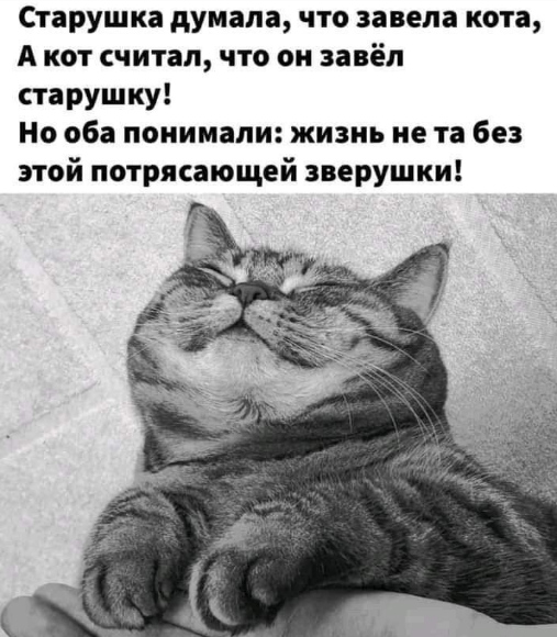 Пин с доски pinterest