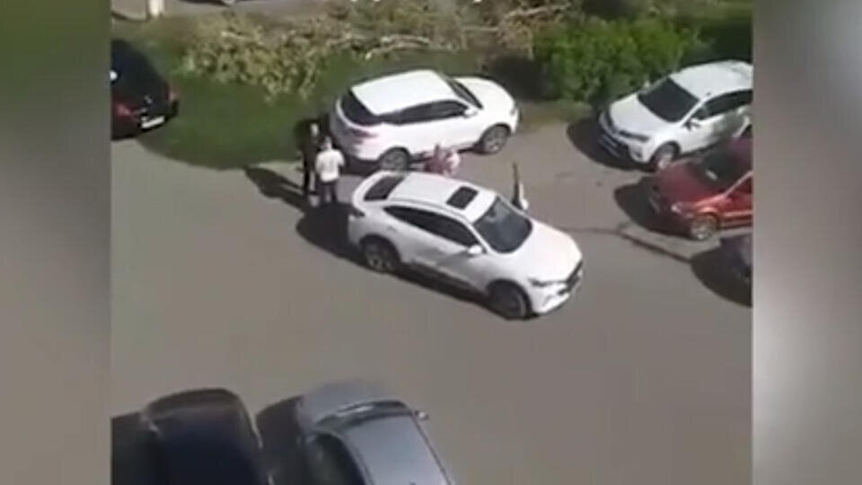 Фото: © Скриншот видео