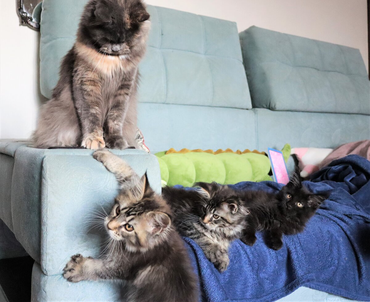 Фото из личного архива.