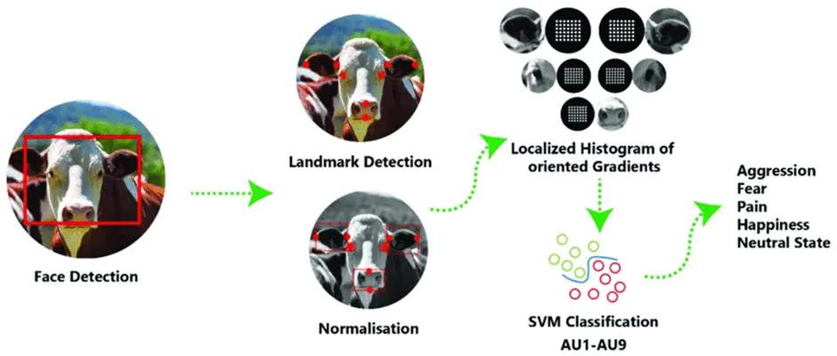 Распознавание эмоций животных. Источник