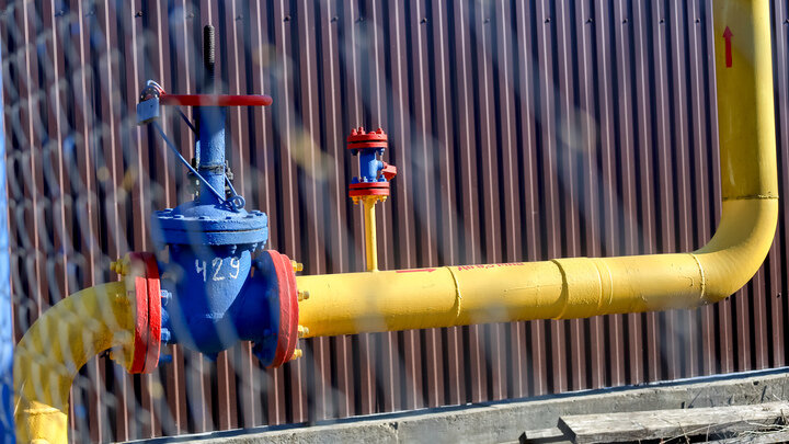 ELENA MAYOROVA/GLOBALLOOKPRESS 