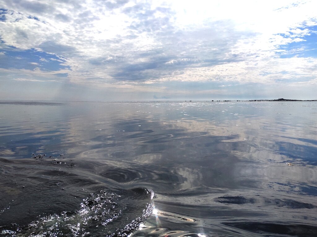 Погода в белом море