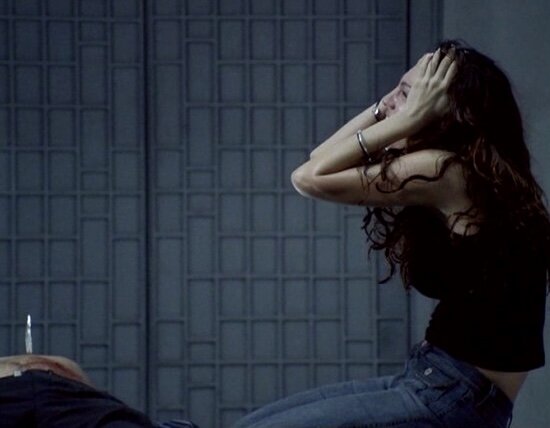 Детектив, драма, триллер, ужасы. Великобритания, Румыния, Германия, Франция. В главных ролях; Келли Брук, Деннис Хоппер, Ипполит Жирардо, Раффаэлло Дегруттола. 