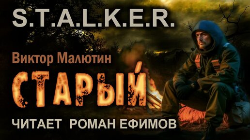 S.T.A.L.K.E.R. Старый (аудиокнига). Главы 2-3. БОЕВАЯ ФАНТАСТИКА. Виктор Малютин. Читает Роман Ефимов.