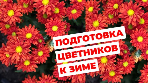 Подготовка цветников к зиме