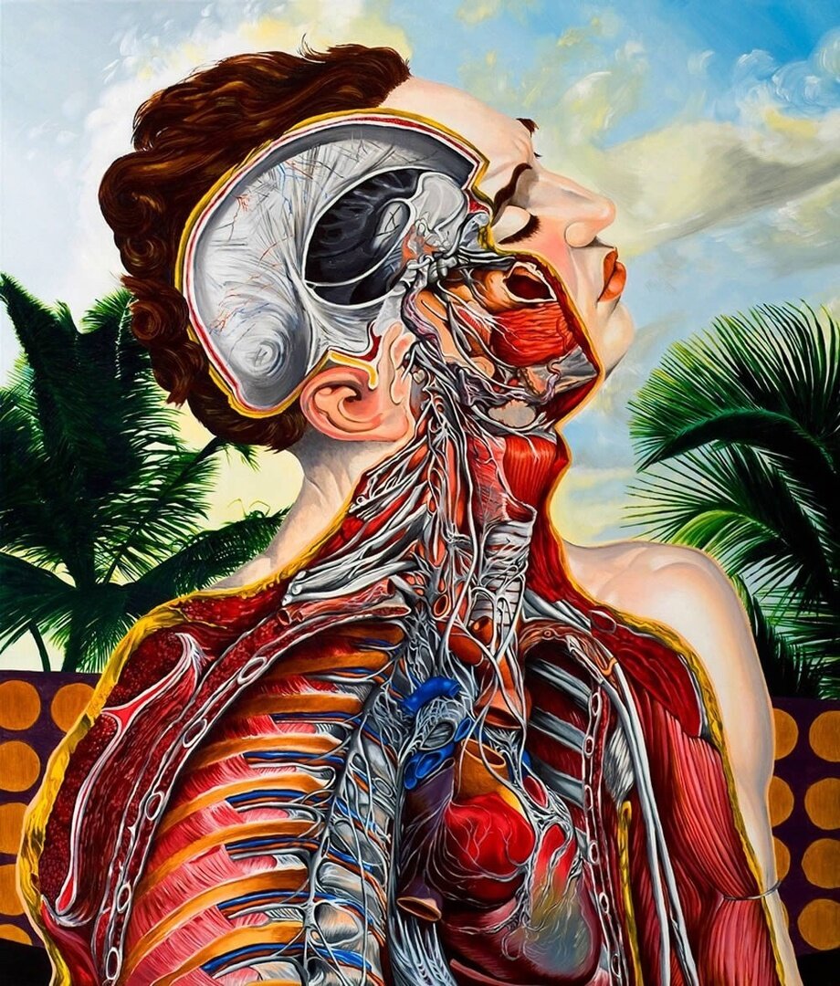 Создать карусельДобавьте описание