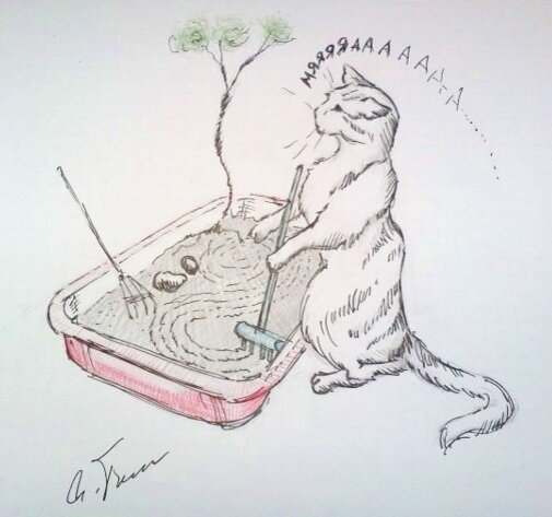 Яндекс.Картинки. Никаких намёков 🙄