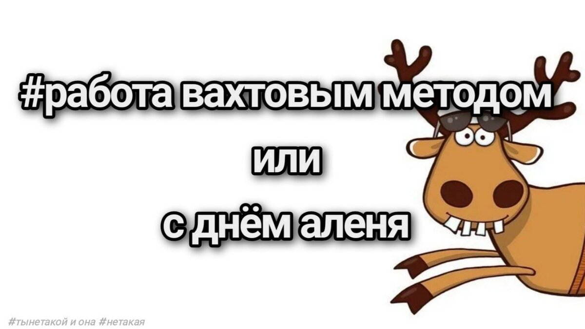 Все верно вы поняли, речь пойдёт про ребят, кто на хлеб с маслом и на ёбаришку своей жены, ездит колымить кеш за хуелион километров от дома на время от 2-3х месяцев до полугода и даже на год.

Дисклеймер: не относится к каждому из вас. Только лишь мой взгляд, мнение и просто видение ситуации. Любой вскукарек в лс не воспринимаю всерьёз. От части юмор, а может и нет.

Тему измен мы обсудим позже, в другой статье, там вы в комментах сможете поделиться случаями, а может даже своим опытом похождений налево, хотяяяяя... вряд-ли кто-то напишет, ведь на этом канале все #нетакие. 

Сейчас поговорим только лишь про сам факт измены.

Если ты молодой парень, учишься или ещё планируешь свою жизнь связать с такими работами, которые требуют частые и долгие разьезды в командировки, такие как работа в море(на судне), вахты по типу севера, карьеры, дальнобой и тд, то сразу скажу - смирись с рогами или ищи себя в чем-то другом. 

Ой, прям вижу как в меня сейчас самки с восполением матки хуярят заклинаниями... Дочитайте сначала, а потом яд извергайте, змеи.

Ты, молодой парень и решил подзаработать кеш вдали от дома, да слава богу что у тебя есть цель и уже что-то мыслишь, а не сидишь дома играя в доту (дота — для пед..ков).

Езжай, работай, крутись-вертись пока молодой и не обзавёлся спутницей по жизни. Но как только у тебя появится дама сердца, рекомендую оставить такую работу и искать что-то рядом с домом. Ты конечно серьёзный дядя, я все понимаю, можешь сказать:

— долбоёб на Reserve хуйню несёт! Я уверен в себе, уверен за свою жену и не переживаю, зная, что она мне верна.

Да флаг тебе в руки, друг. В следующий раз когда поедешь на вахту, оставь номер своей мадамы. У меня корешок холостой, как раз любит таких. Что? Что? Неееееет! Ты не правилтно понял, он не будет подкатывать, он на чашку чая(палку чая) к ней заедет пару раз, составит ей компанию пока ты в отъезде. Она же у тебя #нетакая.

Задумайтесь, секс - неотъемлемая, а иногда даже необходимая часть нашей жизни. Сначала без него сложно, потом привыкаешь, и в конце концов может оторвать башню и сорвешься на прохожего.

У мужиков секс это что-то более физическое, нам даже когда хочется, мы можем сами устроить себе альтернативный секс без женщин.

К примеру моряки, по пол года в плавании берега не видя. Экипаж из одних мужиков. Там половина через день ходят в туалеты-дрочильни вручную колотить свои шишки.

У женщин - это занятие более на духовном уровне. Даже если она раз в неделю мусолит свою фасолинку в ванной, это не отменяет того факта, что она хочет мужика, который бы её как следует....

Конечно, можешь ходить в розовых очках и питать свою репу теми сказками, что у неё есть вибратор Василий, который заменяет тебя(с днем аленя), это лишь в моменте она отвлеклась. После самоудавлетворения, дама все ещё хочет вождя с бубукой. *для эксперимента, найди фемку, надень ей ведро на голову, уеби лопатой и спроси, что лучше, член или вибратор? Она не задумываясь скажет - "конечно же член! Хороший твёрдый пульсирующий магнум, и желательно чтобы он был во мне".

Есть разумеется пары, где и парень и девушка могут годами воздерживаться и быть верными друг к другу, но это такие единицы, такие исключения, что сегодня в реальном мире это похоже на сказку, т.к. морали нет - институт брака мёртв!

Случаев - миллионы, примеров столько же. 

Мой братишка, ебака-собака(я #нетакой, но я его не осуждаю), имеел кучу подобных связей с жёнами, чьи мужья на вахтах, и там счёт давно идёт десятками. Я сам свидетель множества таких историй. Я думаю наблюдателей уже не удивить подобным, типа муж на заработке, а жена при доме, при квартире, при машине и машину любовнику купила(спасибо мужу), сильному мужику, который верен верной жене (нет). Да, подумаете, что я оскверняю сейчас женщин наговаривая, что все шлюхи, ахах НЕТ! Мужики тоже непромахи, но чаще в таких случаях когда мужик вахтовик, за изменой больше всего замечены дамы, т.к. у мужика возможно просто нет возможности контакта с дамами, потому что их "там" нет.

Я в какой-то степени понимаю девчат.

Нахуй нужен писеносец, если его рядом нет!? А мужик сука должен быть рядом. Не 24/7, блять, вы поняли короче о чем я.

Парни, работаете на таких работах?

 - работайте, братья. Но лучше это делать холотстым. Не создавайте такие возможности измен вокруг себя и своей дамы. Да каждый из нас сейчас подумал, что его жена/девушка #нетакая. Конечно, так думать хорошо, но вот есть интересный факт:

каждый, я подчёркиваю, каждый из вас знает хоть один случай измены — это я сейчас и к парням и девушкам обращаюсь. Так просто удобно думать, что среди нас нет грешных людей, это все там, это все они... Но парадокс в том, что эти "они" это и есть мы, люди.

Когда парни очень аккуратны и ревнивы, очень часто от дев слышал фразу - он просто в себе не уверен! Зачем мне такой!?

Епт, дура блядь! Уверенность в себе и осторожность - это разные вещи.

Доверие? Аххаха, рофлишь что-ли? Он парень нормальный, чутка ебанутый, но верен, а ему вторая жена тоже изменила. Охуеть же после такого доверие будет, конечно, ага.

Парнишка, знакомый мой хороший, жизнь с морем связал и чёт его затянуло. 6-7 месяцев в море, 1-2 месяца дома. Девой обзавёлся и тд, квартирку купили, ремонт сделали, пару авто дорогих. И когда уже все сделали в финансовом плане, что хотели, решил он ещё разок в рейс сходить и завязать с этой работой.

(лет 7 он в море ходил и примерно столько же они вместе).

Возвращался он домой прям как в анекдоте, на пару недель раньше. Уже вижу как вы концовку в голове представили. Приезжает домой, дверь закрыта, жены дома не было, но он этого не знал. Стучится в дверь, а её открывает чёткий шерстистый шахвал со словами - ты кто и что хотел!?

Ахуевание этого парня и его переживания не пожелаешь врагу.

После этого будет он кому-то доверять?, правильно, нет.

Кто в этом виноват? Да ни кто. Мы все виноваты в том, что мир прогнил и никаких ценностей не осталось.

Единтсвеное, я рад, рад тому, что остались ещё люди, верные себе, верные своим принципам, просто остались людьми.

А ты, Ваня, дай бог чтобы у тебя жена оказалась такой же хорошей и верной, которая тебя дождётся, но и ты мудак не ронял свой хуй из трусов в придорожные пёзды.

Верь, но помни, возможно чем дальше ты от дома, тем рога горят ярче ахахахах.

А вообще, можешь не испытывать судьбу и свернуть на дорожку голубых кровей. Делай с мужиками анальное фондю и все у тебя будет збс ахахахах

(на канале пидорасию не приветствую)