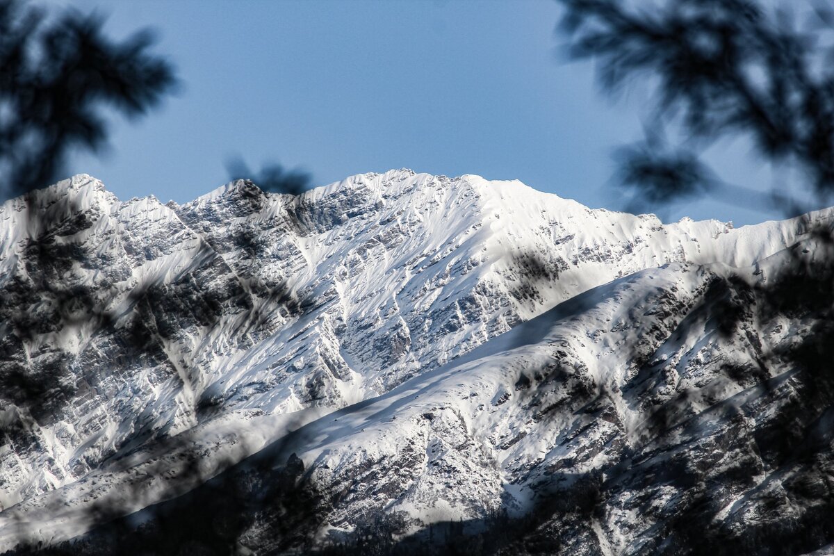 Фото с бесплатного фотоистока https://unsplash.com, автор Ankit Pai N