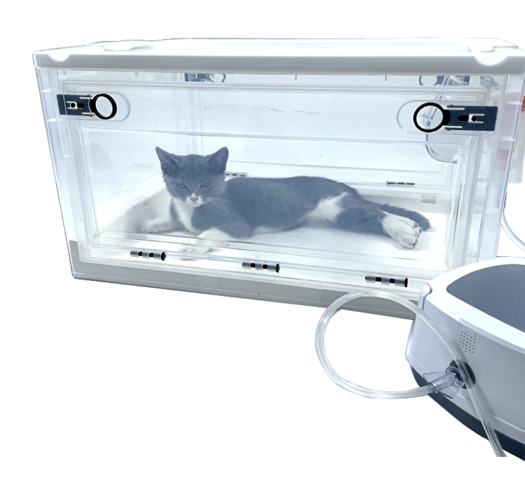 Кислородный бокс. Фото из интернета.