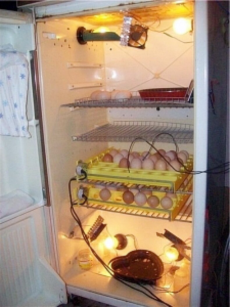 Коптильня из холодильника