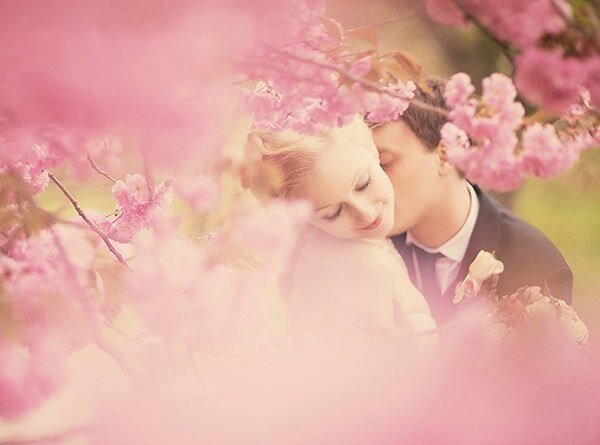 Картинка из интернета