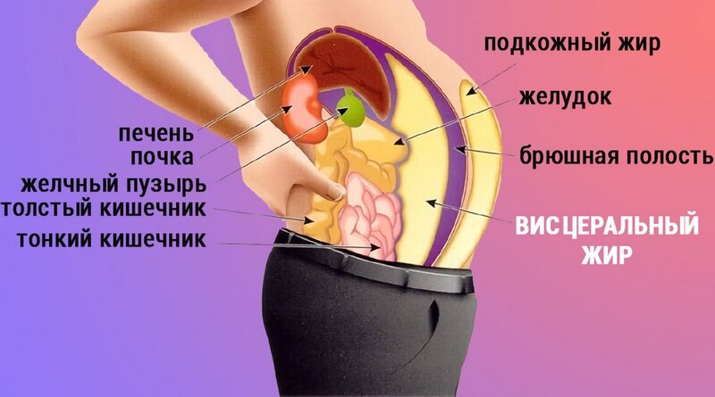 Жир полезен. Все дело в его количестве!