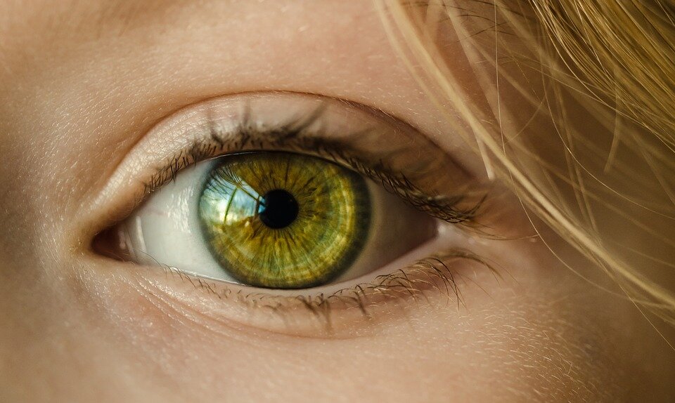 https://pixabay.com/photos/eye-iris-look-focus-green-1132531/
