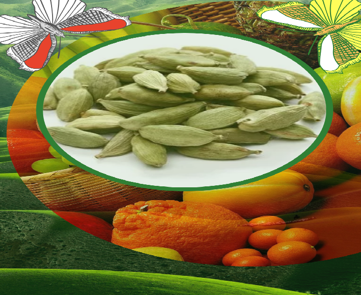 Что такое кардамон и зачем его использовать 