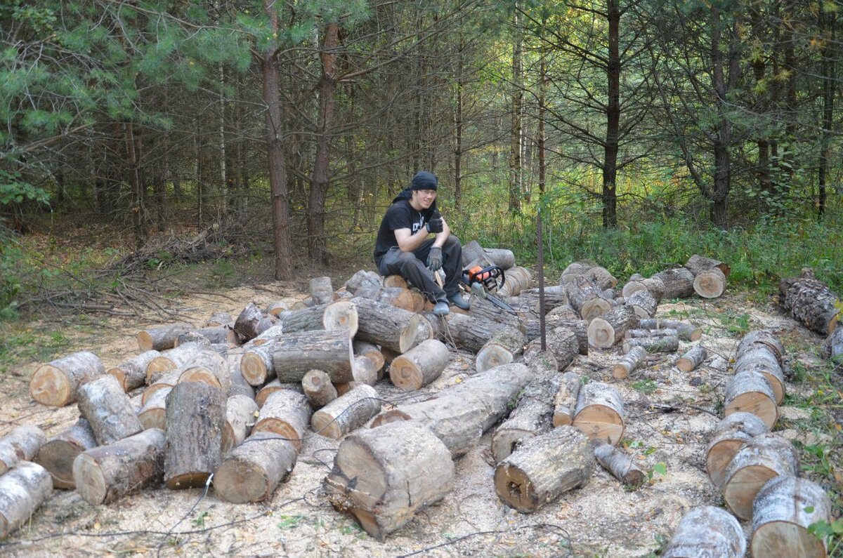 Пилить хлысты на чурбачки не так сложно, главное вовремя подтачивать цепь. 