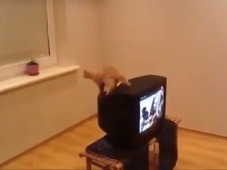 Источник: YouTube
