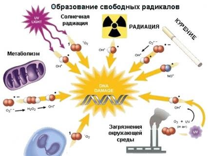 Глутатион – это простая молекула, которую вырабатывает человеческий организм.