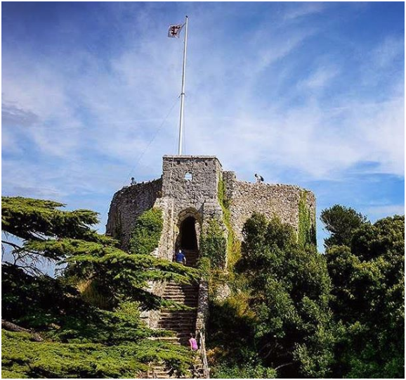 Фотографии взяты с https://www.instagram.com