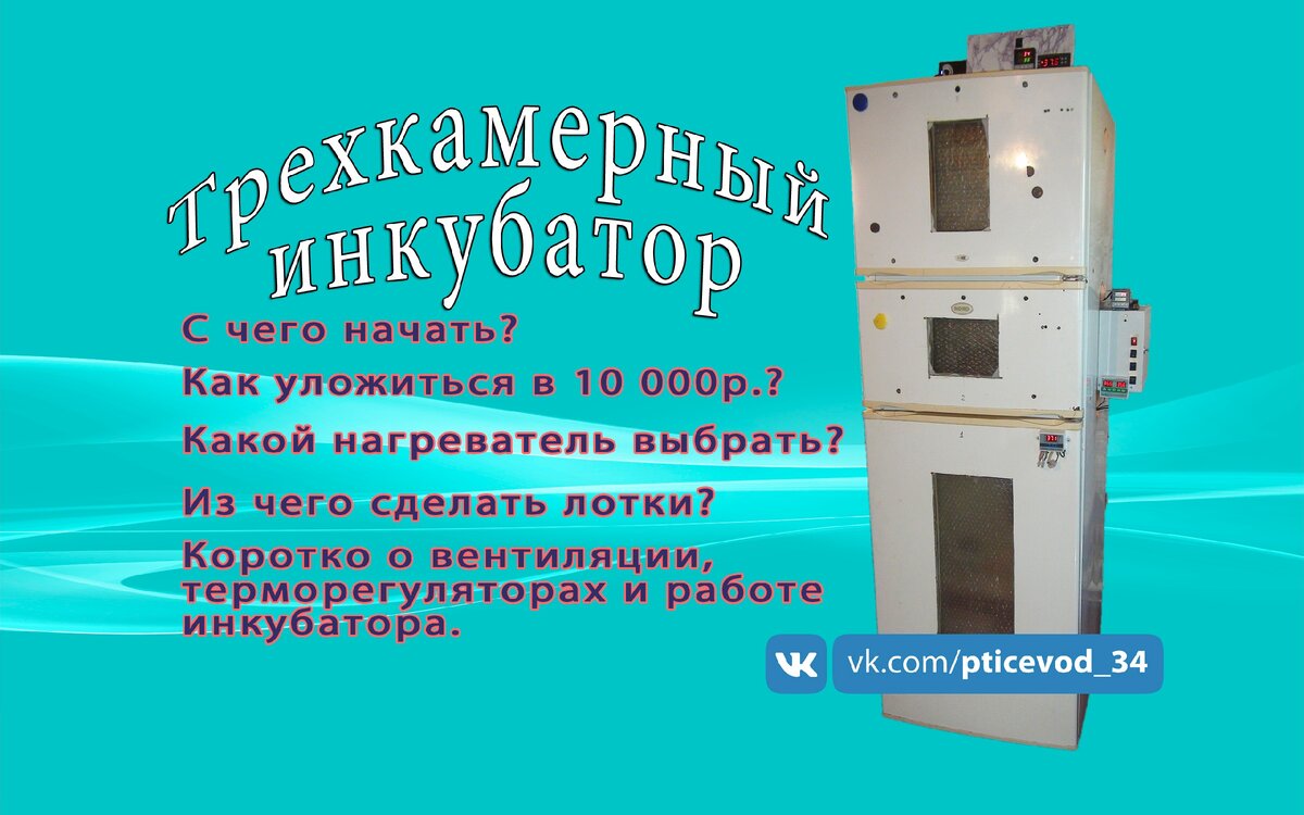 Как сделать инкубатор своими руками в домашних условиях