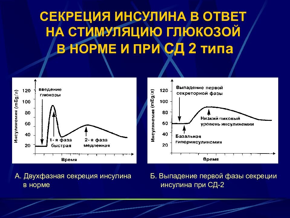 Схема выработки инсулина в организме человека