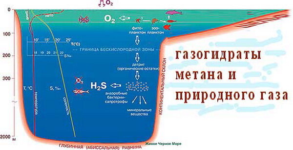 Максимальная глубина черного моря. Схема дна черного моря. Максимальная глубина чёрного моря на карте. Чёрное море глубина рельеф дна.