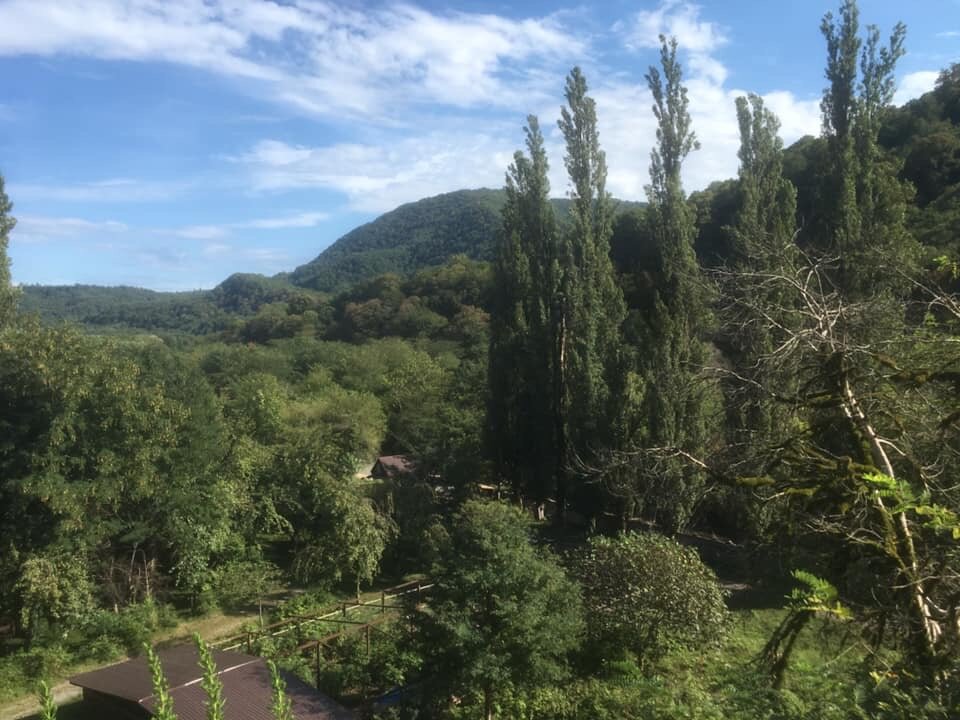 Каманы