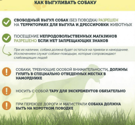 А вот так  выглядят настоящие правила. Только они для собаководов, а не для тех, кто просто гуляет в парке. 
