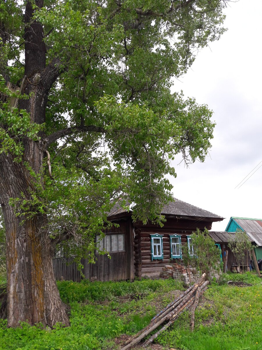 жерди точно надо испилить на дрова...