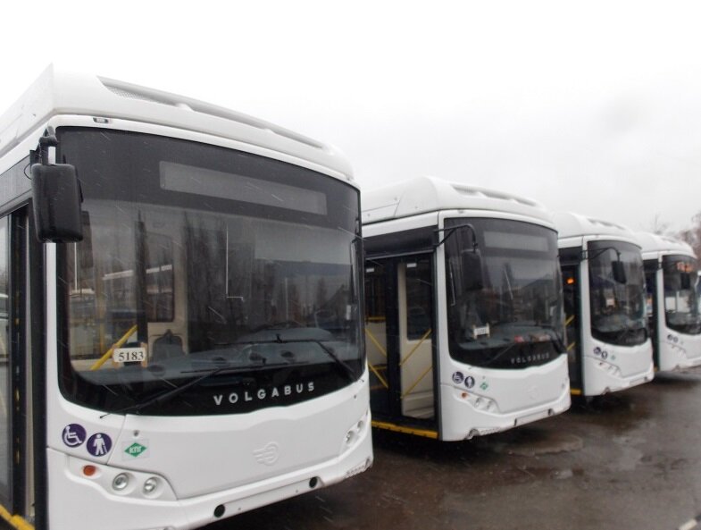 Вот они настоящие друзья горожан. Вежливые и тихие, турдолюбивые