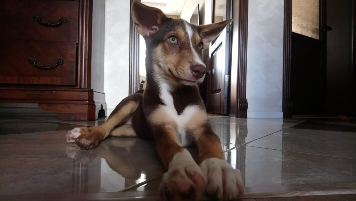 Скоро Зойку заберут на постоянное место жительства.