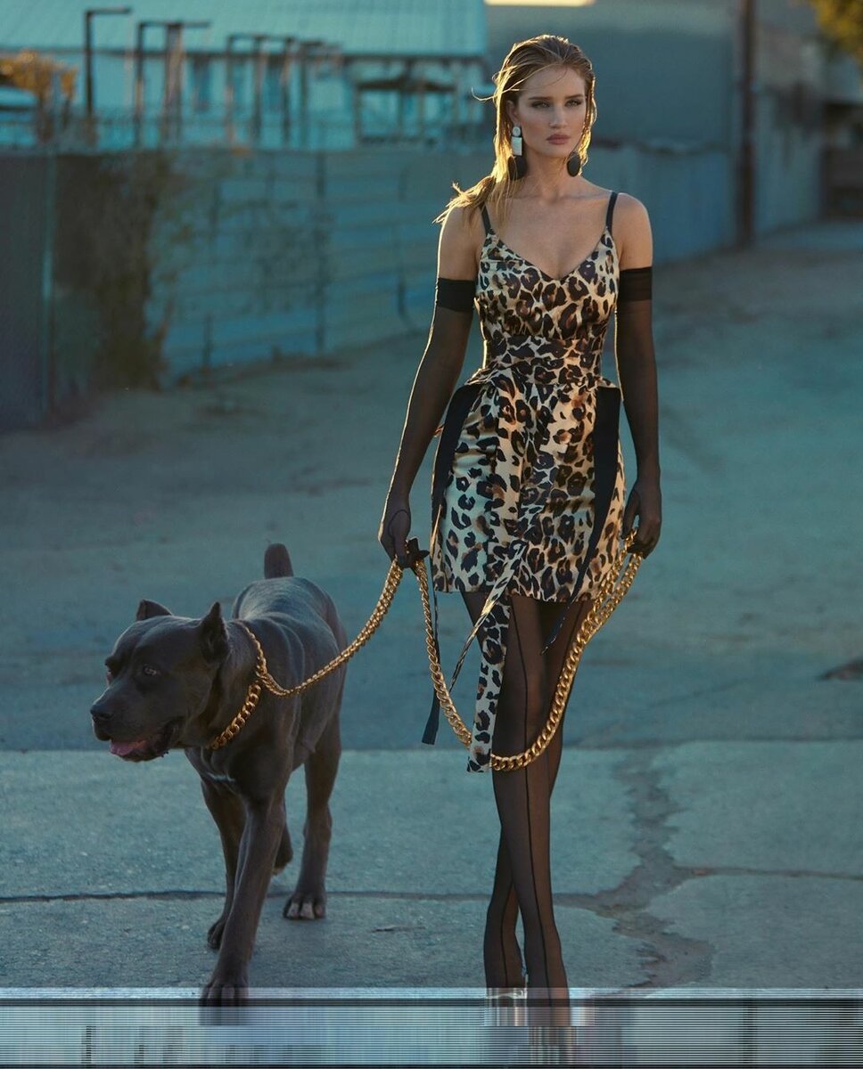 Фото: https://instagram.com/rosiehw