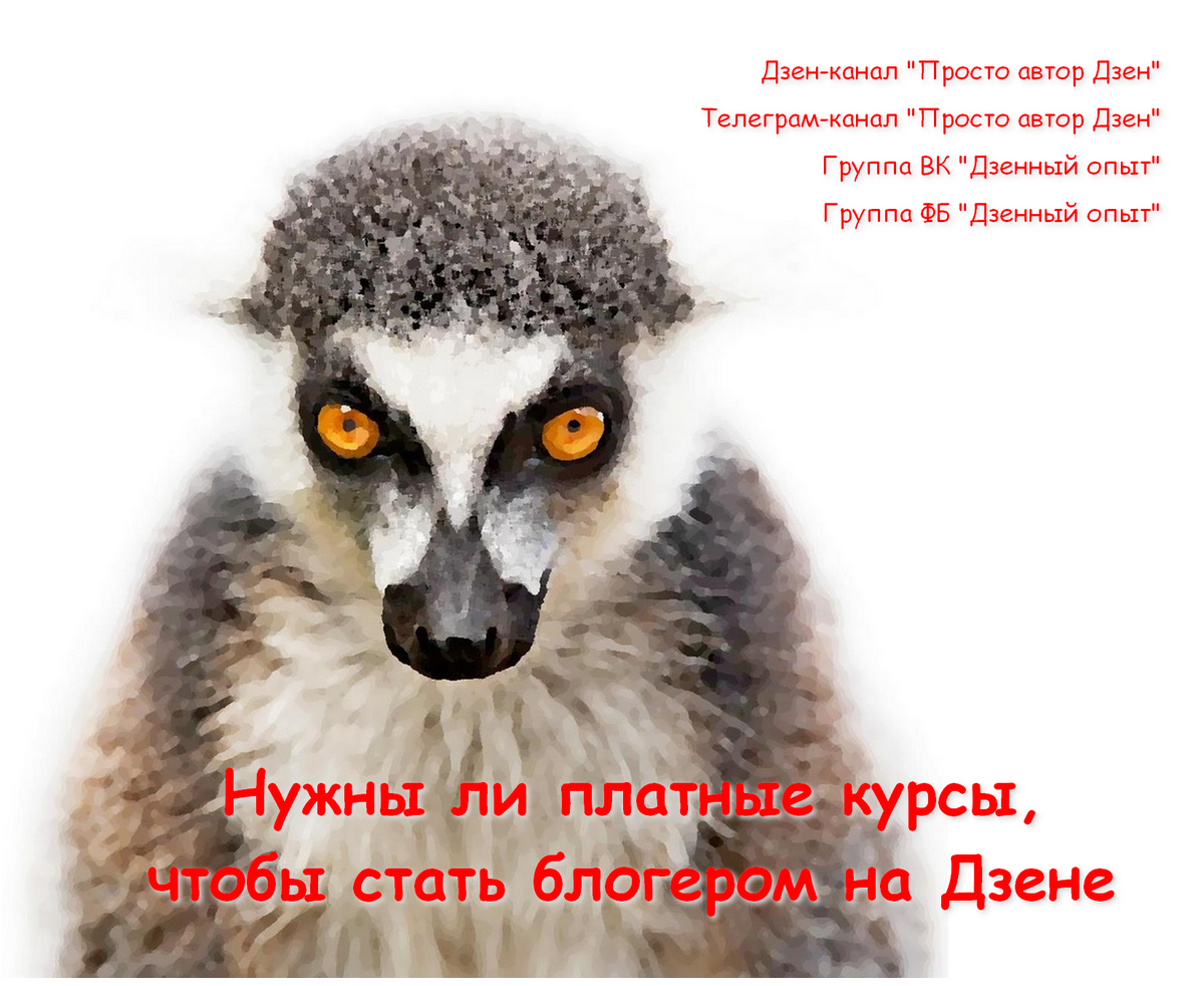 Статьи с канала дублируются в телеграм-канал Просто автор Дзен, в группы ВК, ОК, ФБ. Ссылки в описании на главной странице канала