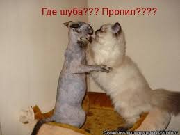 Мужчины учитесь как надо бороться когда вы что-то пропили