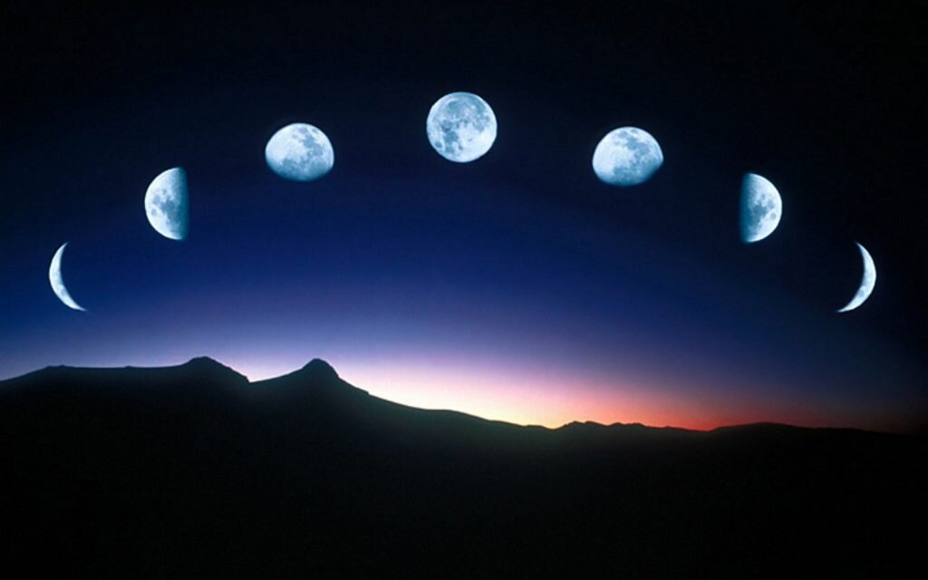 Источник: сервис яндекс-картинки