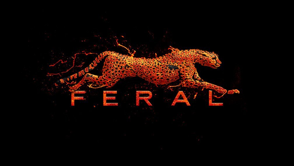 Feral interactive. Feral interactive игры. Feral interactive проекты. Bardini logo.