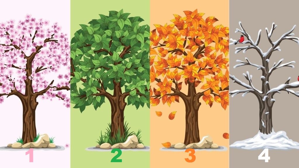 Выберите время года