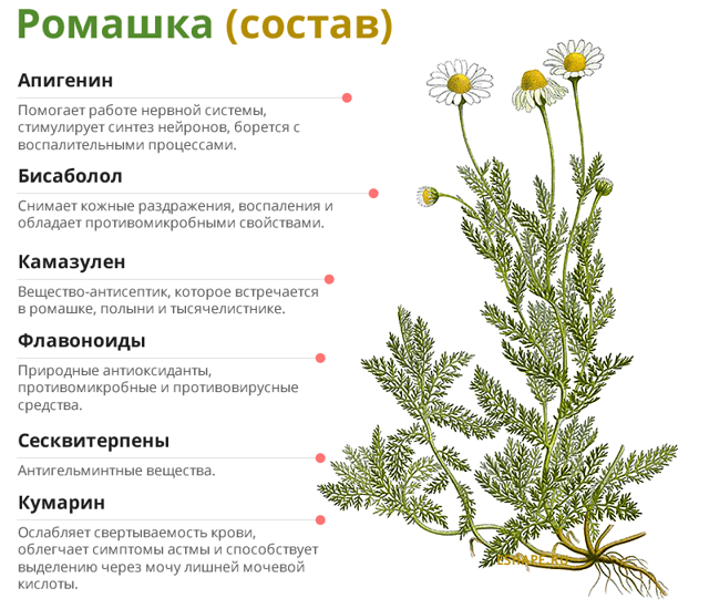 https://crbfirovo.ru/simptomy/romashka-dlya-zheludka-i-kishechnika-otvar-romashki-dlya-zheludka.html