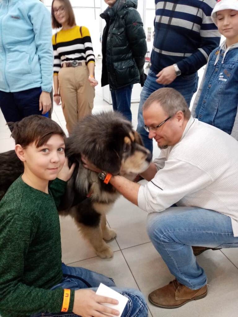 Тибетский мастиф