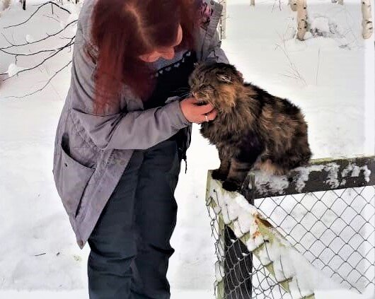 Фото из личного архива. Кот в придорожной забегаловке. Любит целоваться.