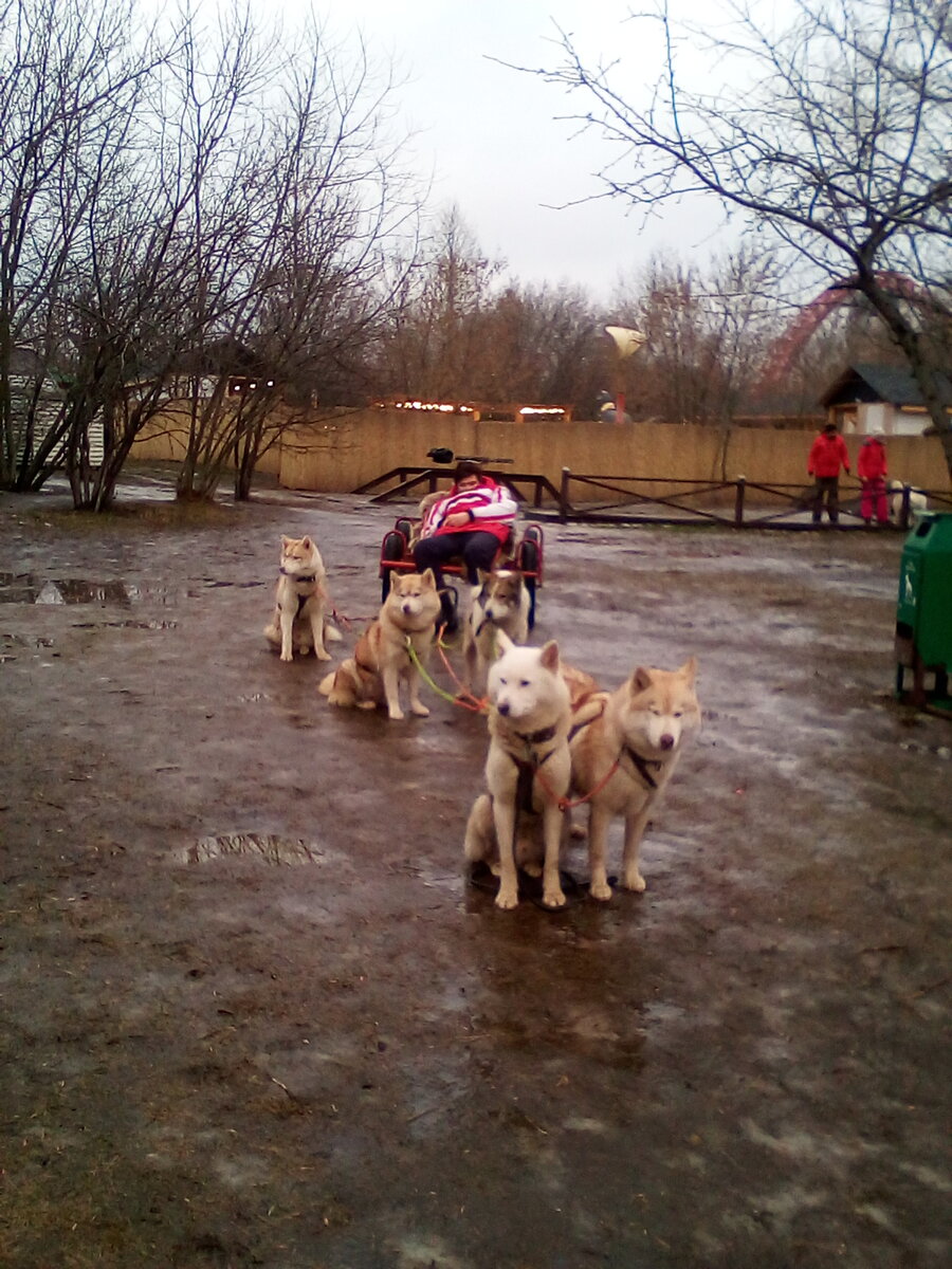 Фото автора