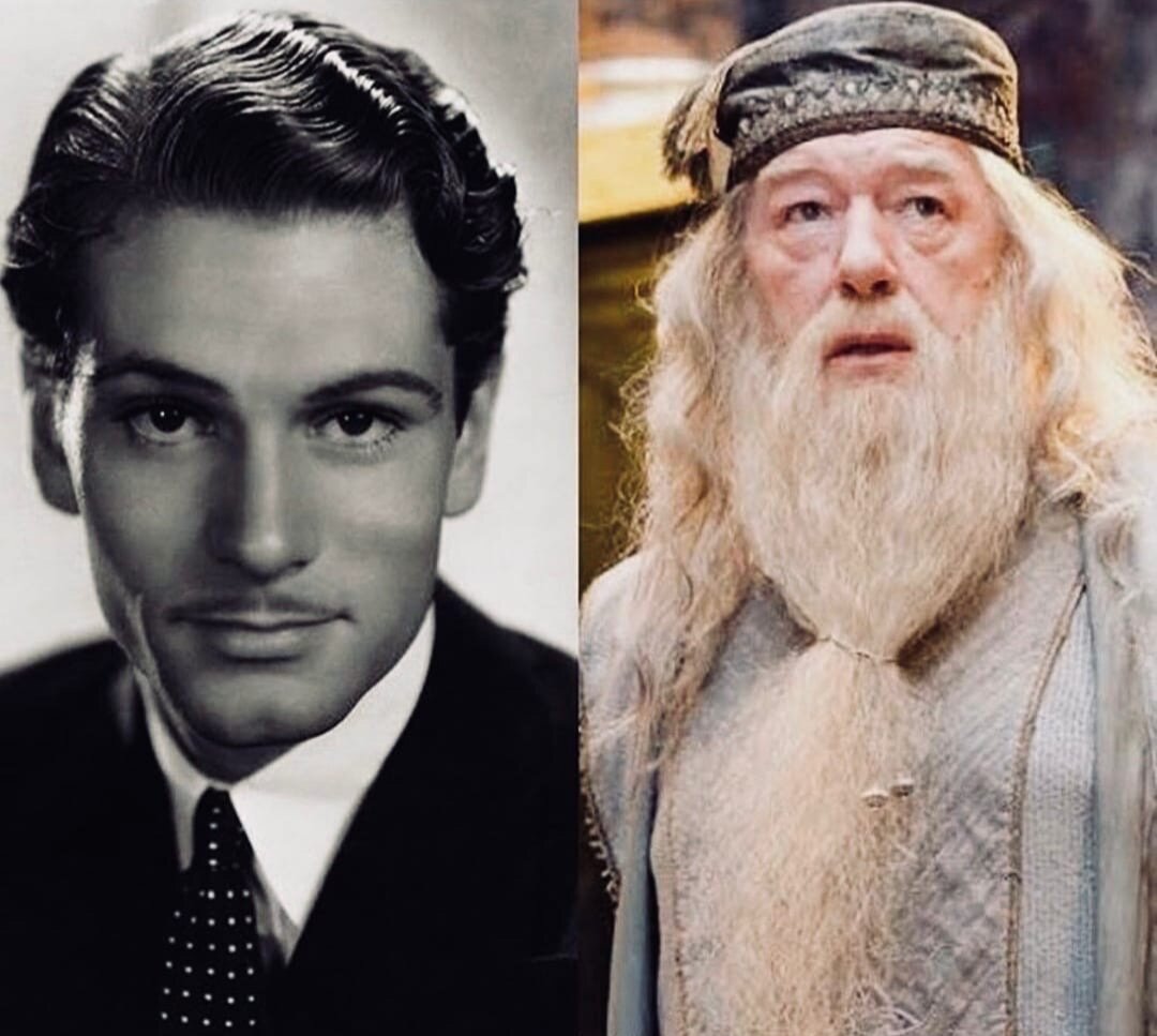 Вот как выглядел самый лучший деректор Хогвартса в молодости 😉