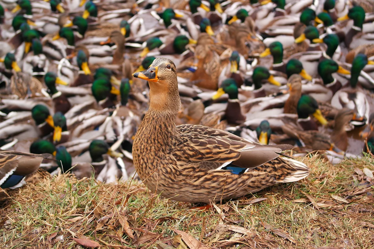 Когда в твоей жизни будет всё плохо, просто вспомни эту статью, и осознай, что у тебя всё не так уж и плохо. 