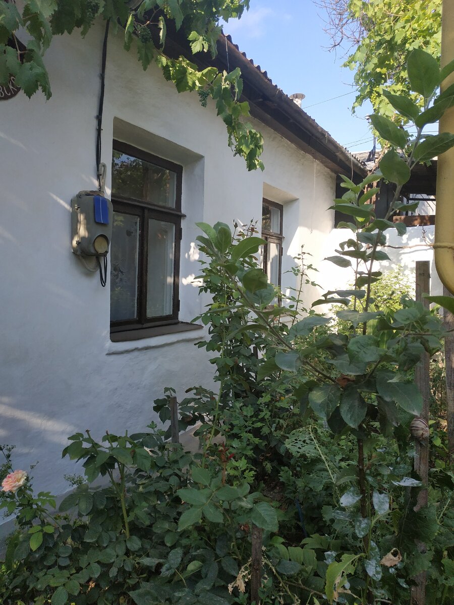 А вот и наш дом