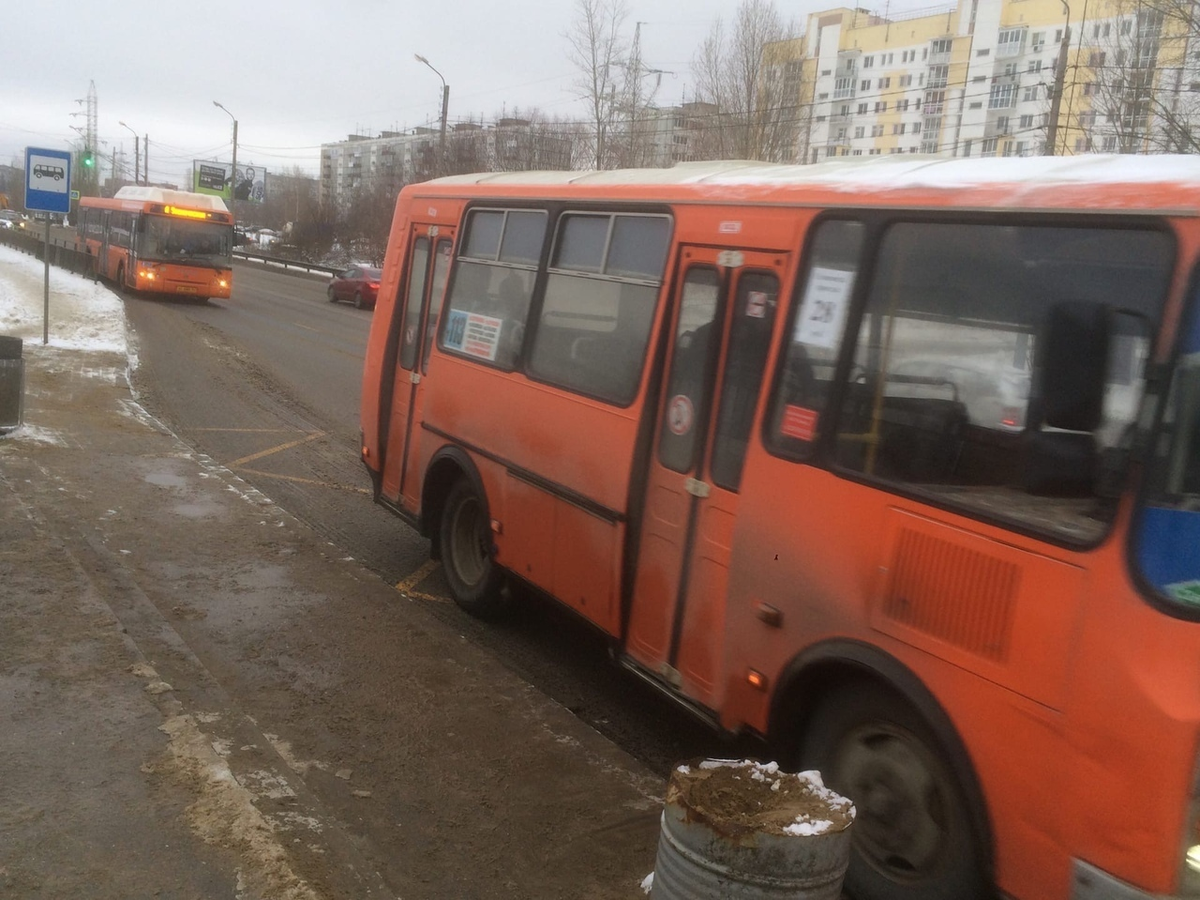 Собственная фотография